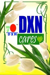 dxn career